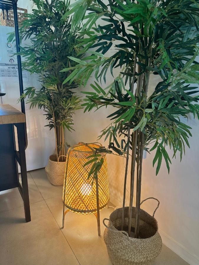 Apartmán Habostan Ceasarea, הבוסתן בקיסריה Exteriér fotografie